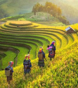 Vietnam, turismo responsable